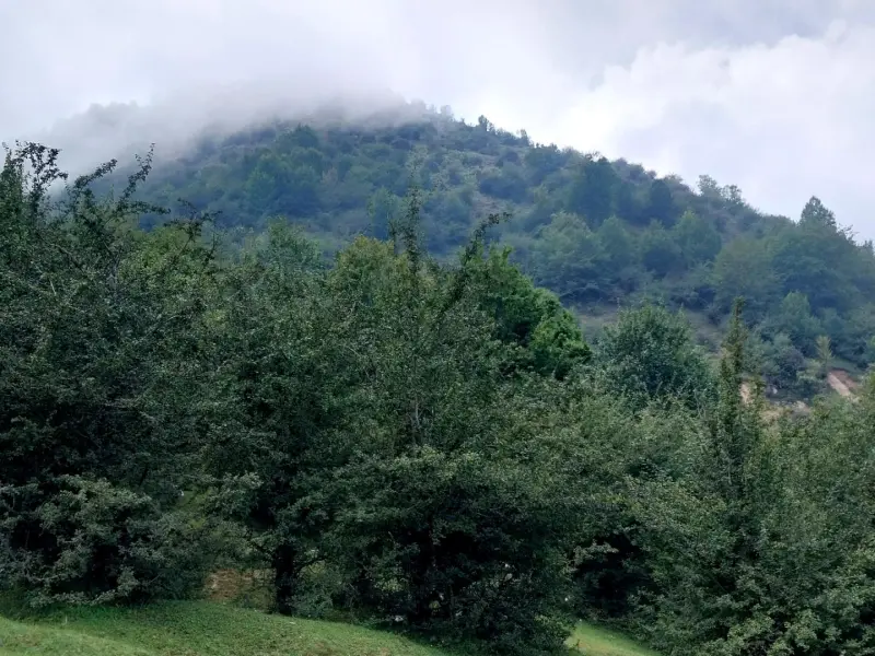 روستای سنگچال - تصویر 3