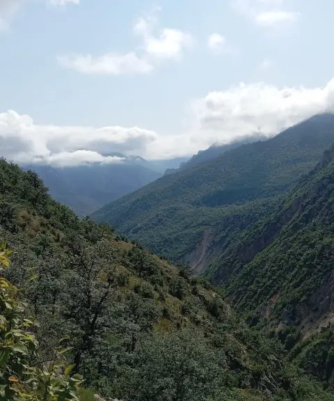 جنگل فینسک، سمنان