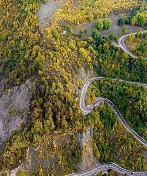 جنگل توسکستان، گلستان