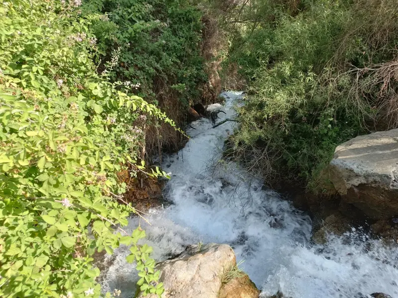 چشمه آب سفید