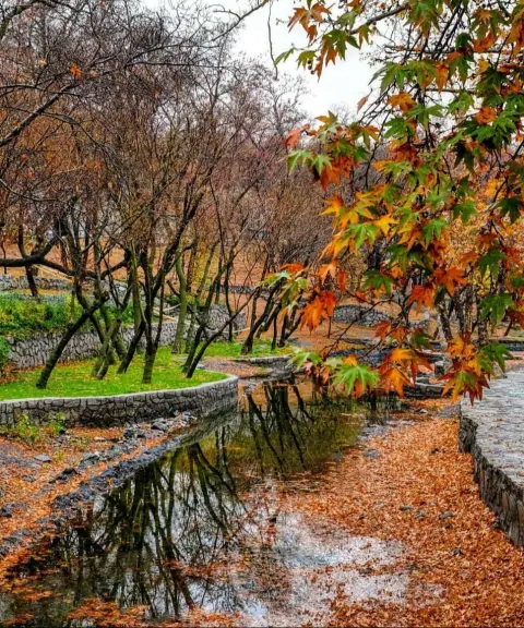 پارک وکیل‌آباد، خراسان رضوی