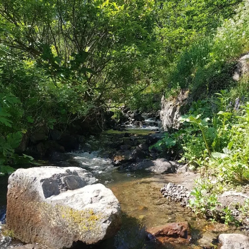 آبشار کولیار - تصویر 6