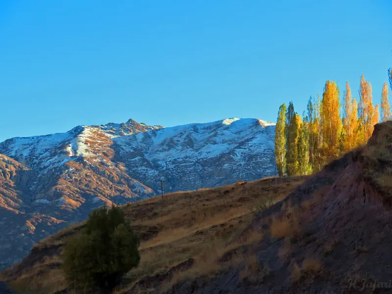 روستای دیزان - تصویر 5