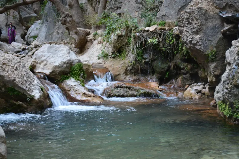 تنگ تامرادی - تصویر 2