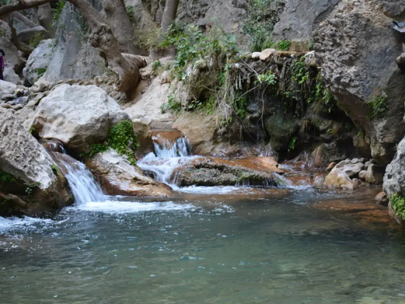 تنگ تامرادی - تصویر 2