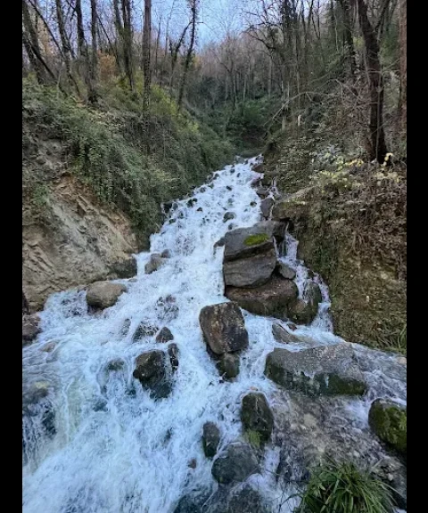 _