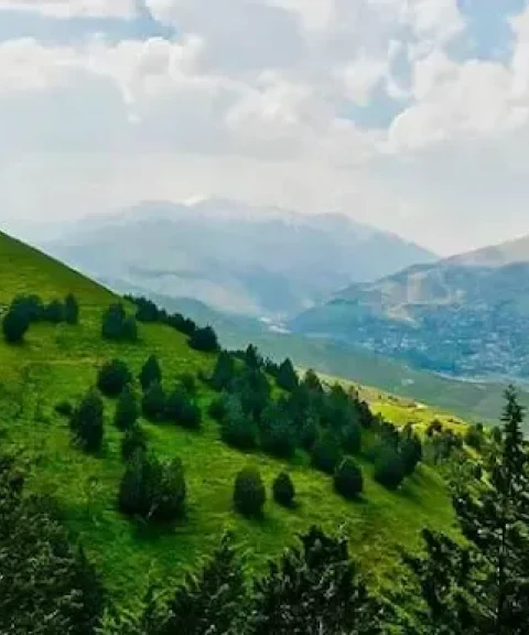 _