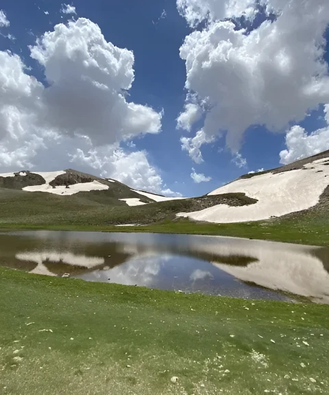 _