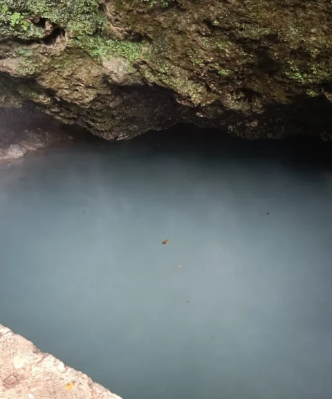 _
