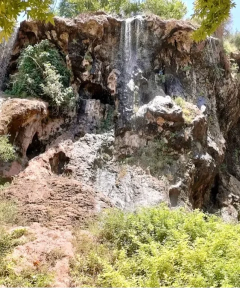 _