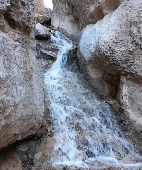 _