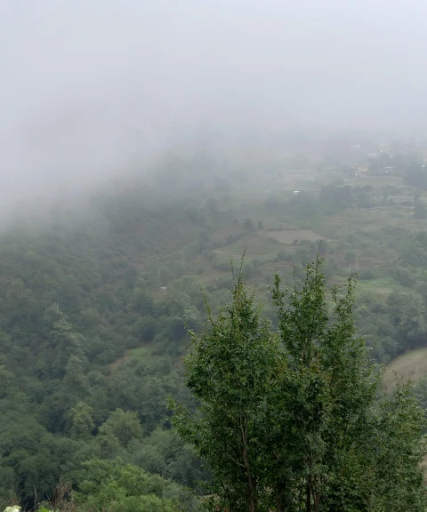 _
