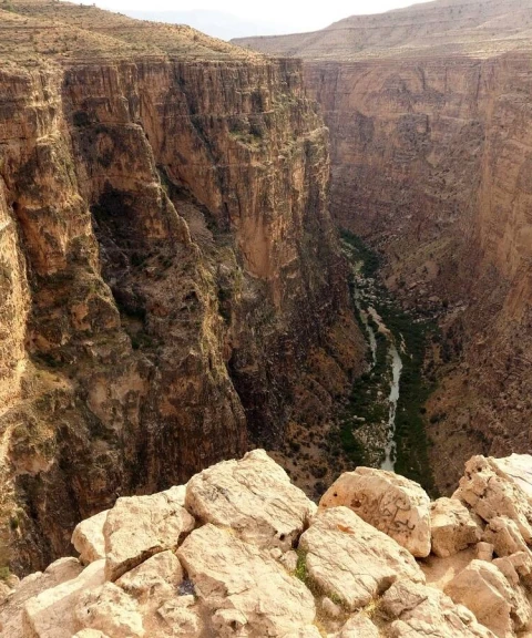 _