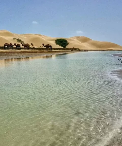 _