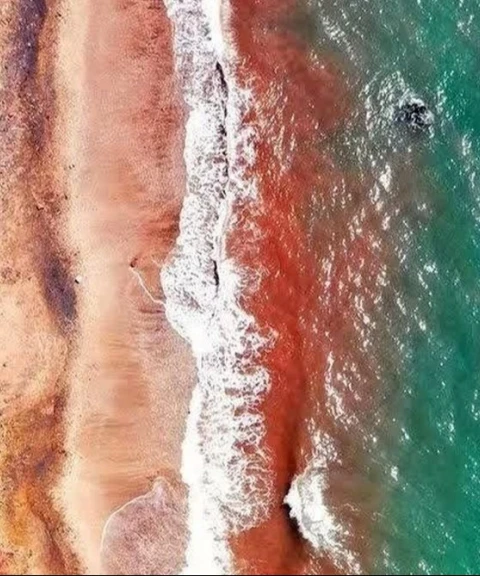 _