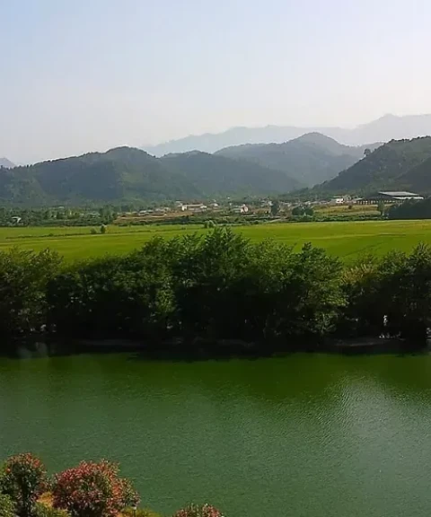 _