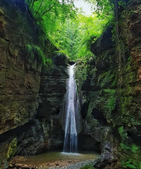 _