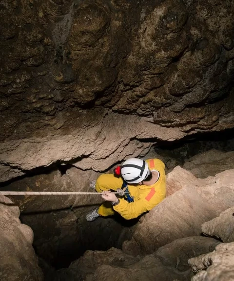 _