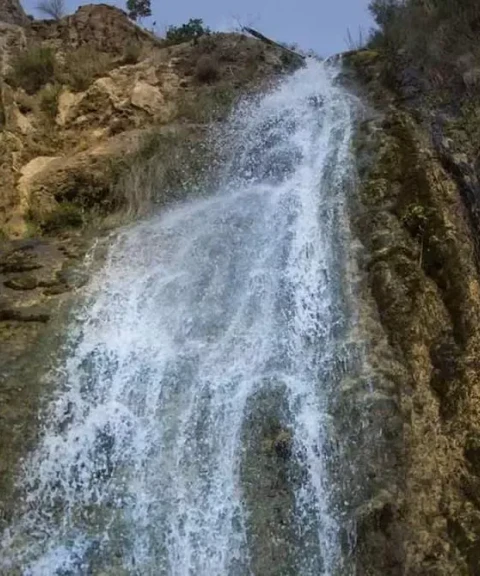 _