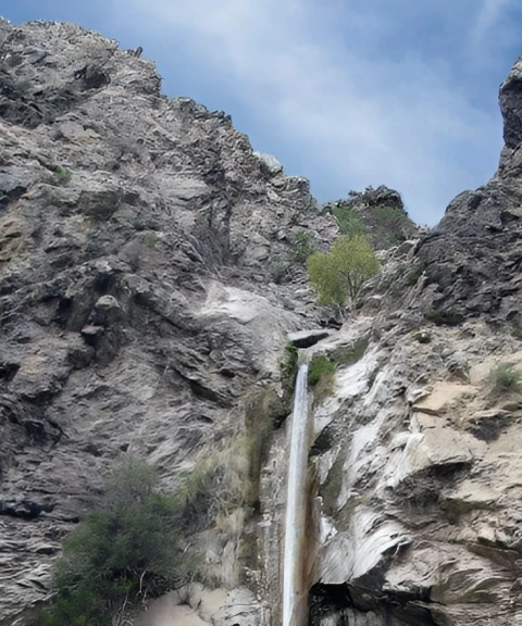 _