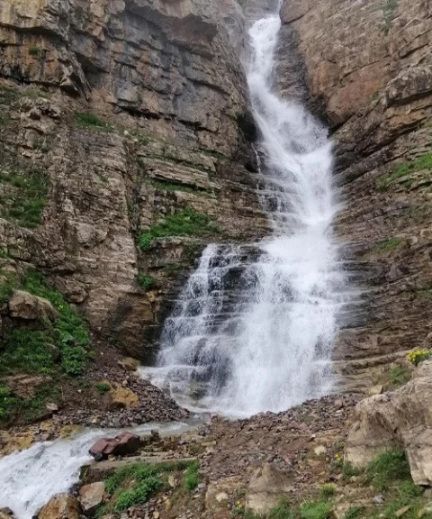_