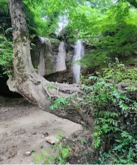 _