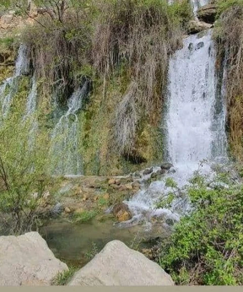 _