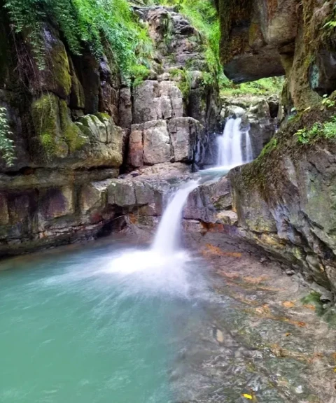 _