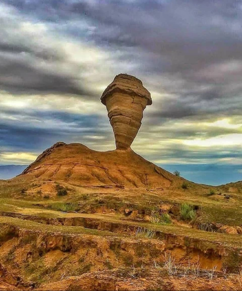 _