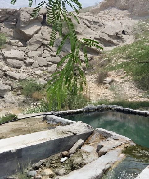 _