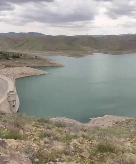 _