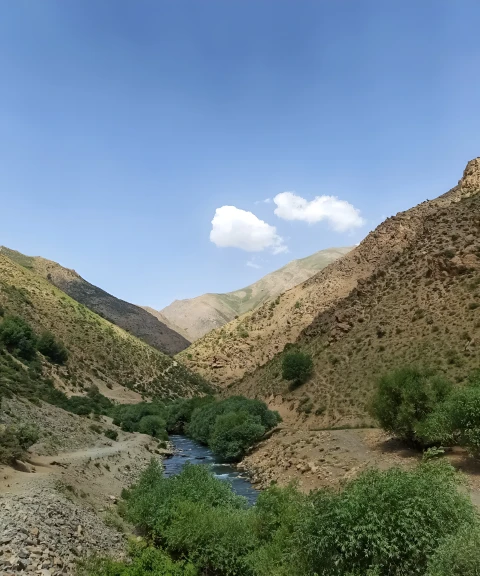 _