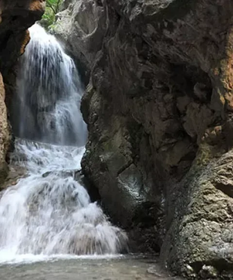 _