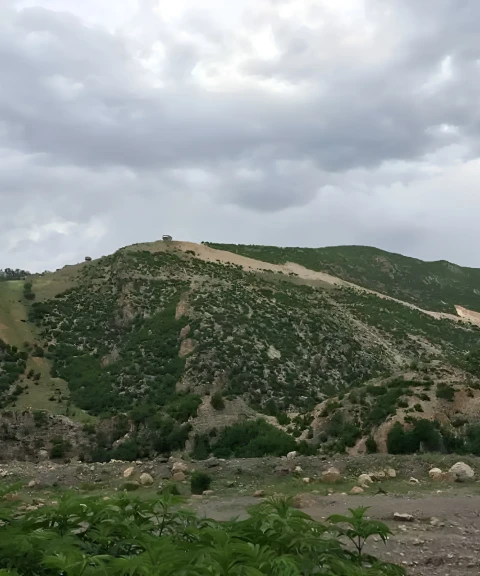 _