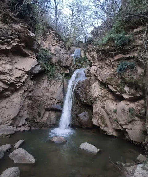 _