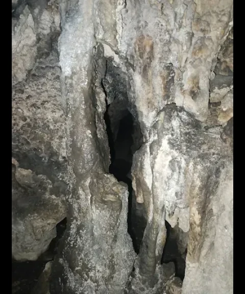 _