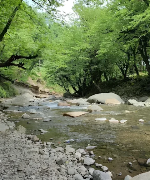 _