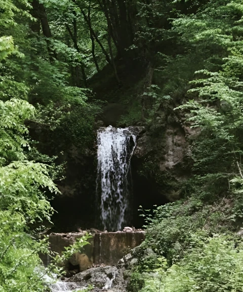 _