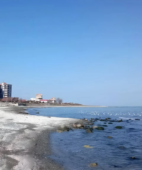 _