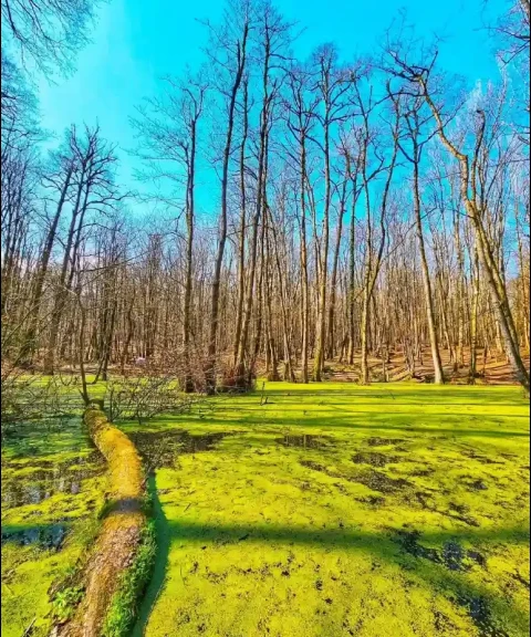 _