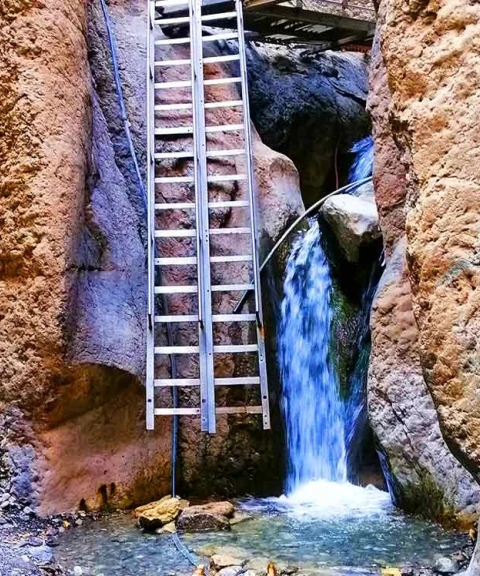 _