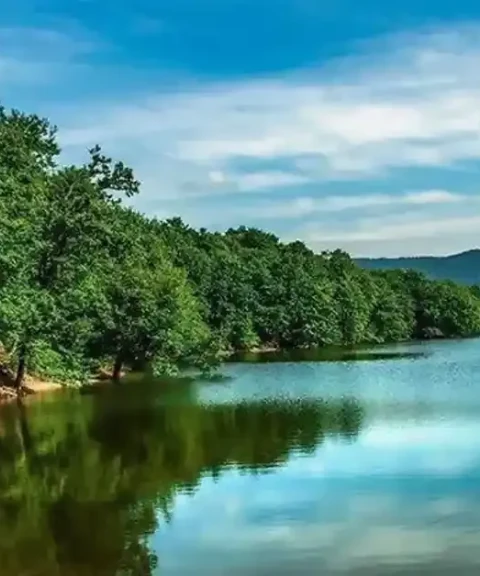 _