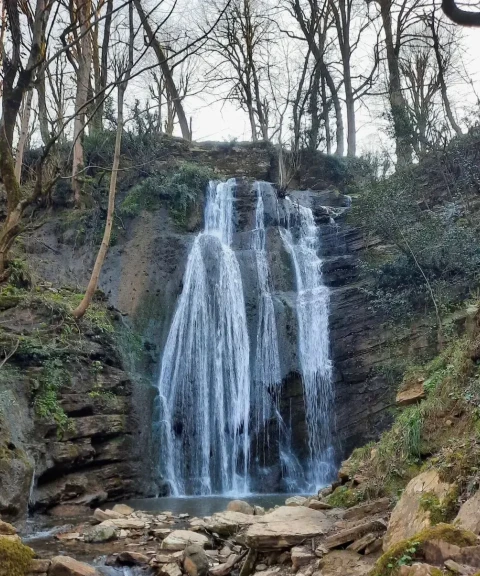_