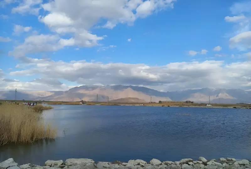 سرآب یاوری - تصویر 2