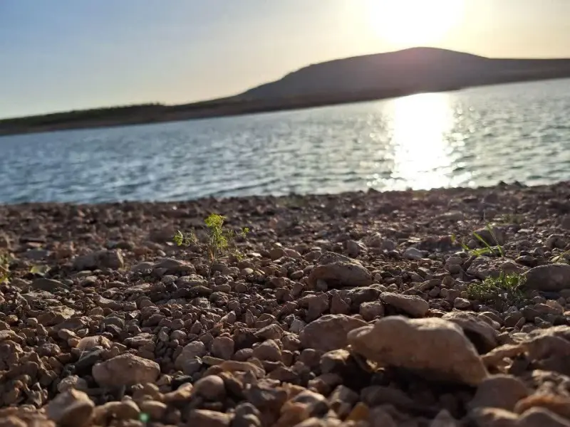 تالاب شیرین سو - تصویر 5