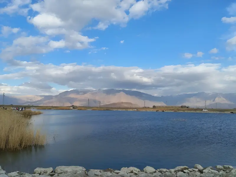 سرآب یاوری - تصویر 2