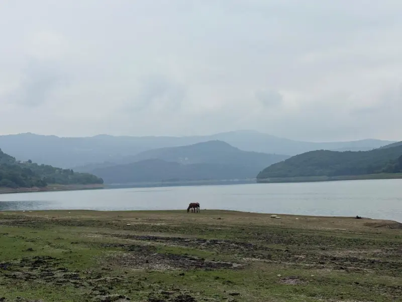 دریاچه لفور - تصویر 11
