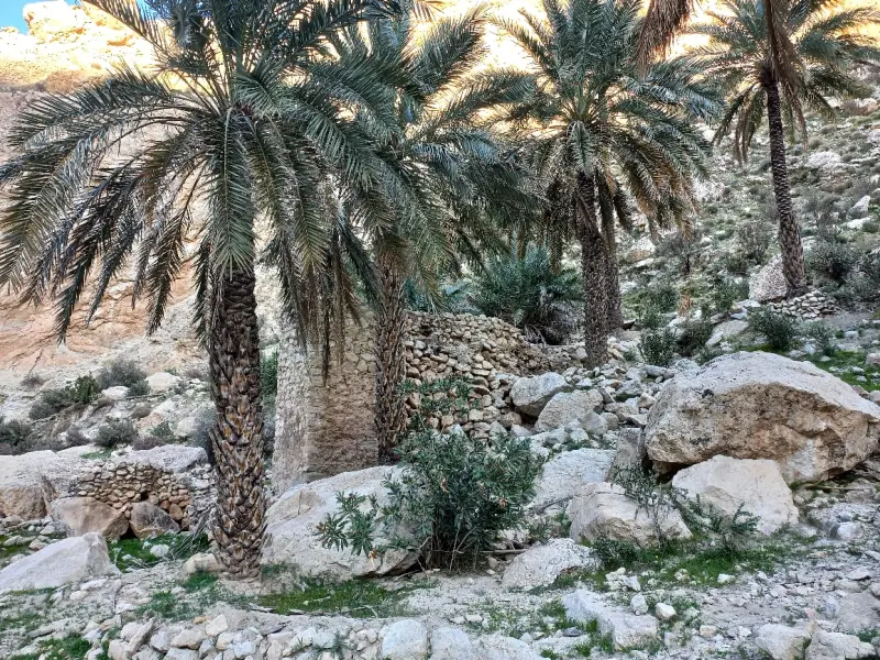 تنگ مخدان - تصویر 6