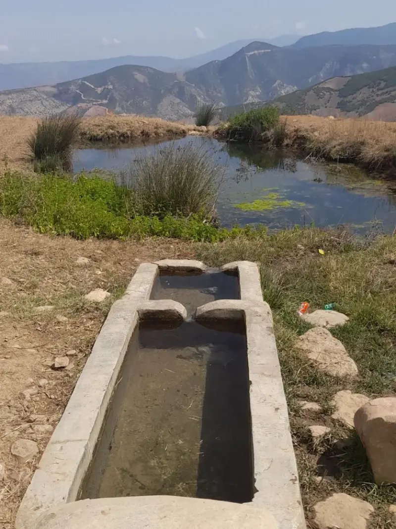 چشمه باساک - تصویر 2