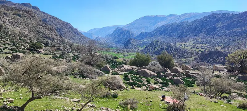 تنگ هرایرز - تصویر 7